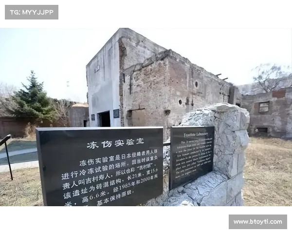 冻伤五大机制对战斗策略适应性与部队生存能力的深远影响分析 冻伤五大机制对战斗策略适应性与部队生存能力的深远影响分析